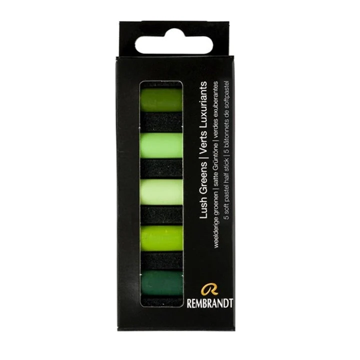 Rembrandt Soft Pastels Set of 5