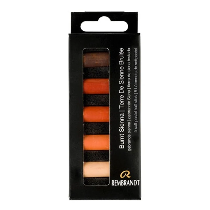 Rembrandt Soft Pastels Set of 5