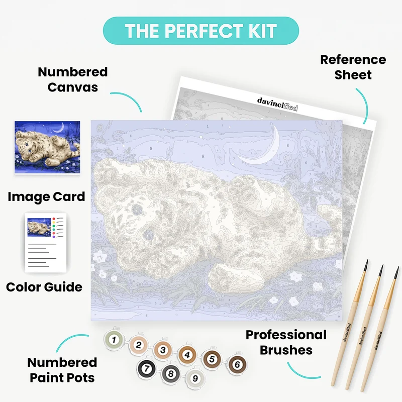 Baby White Tiger - Paint by Numbers Kit