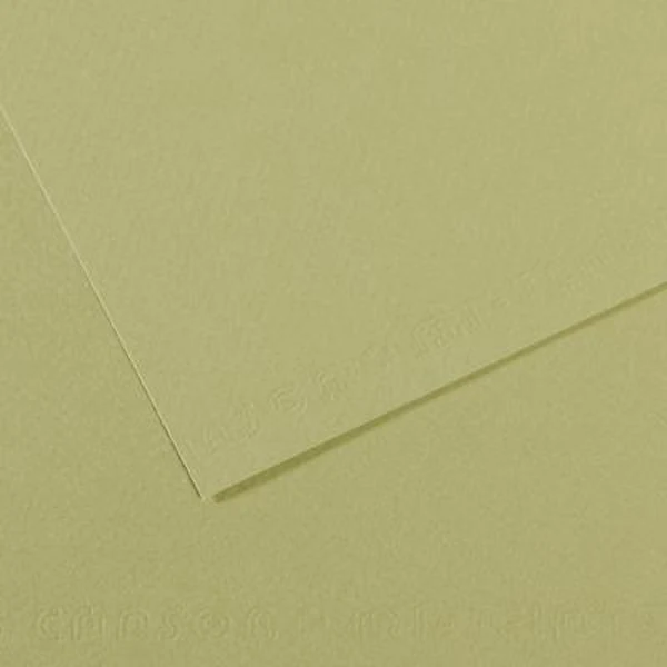 Canson - Mi-Teintes Pastel Paper - A4 Light Green (480)
