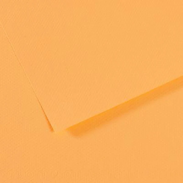 Canson - Mi-Teintes Pastel Paper - A4 Champagne (470)