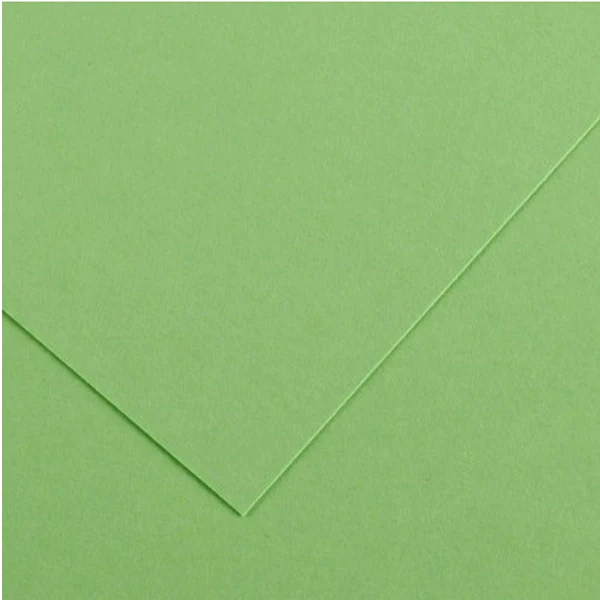 Canson - Vivaldi Poster Paper - 50 x 65cm 120gsm Apple Green