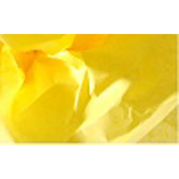 Canson - Tissue Paper - Lemon