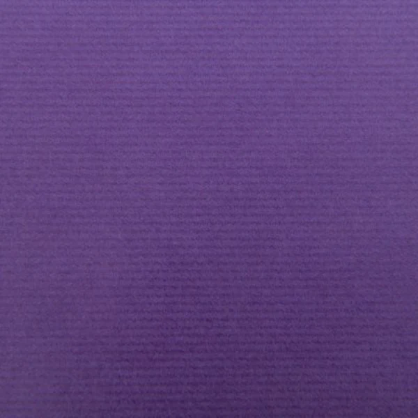 Canson - Kraft Paper Roll - Violet