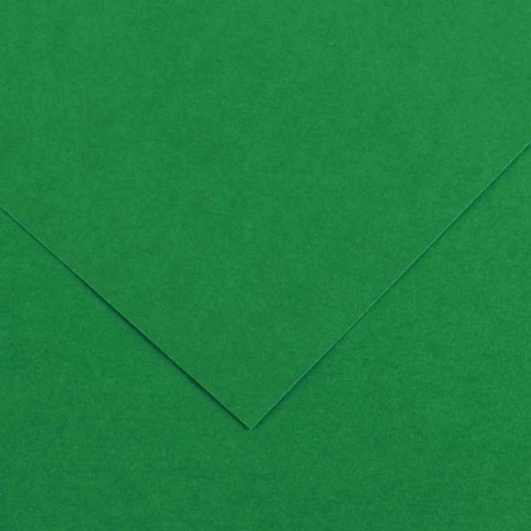 Canson - Colorline Poster Card - 50 x 70cm 220gsm Moss