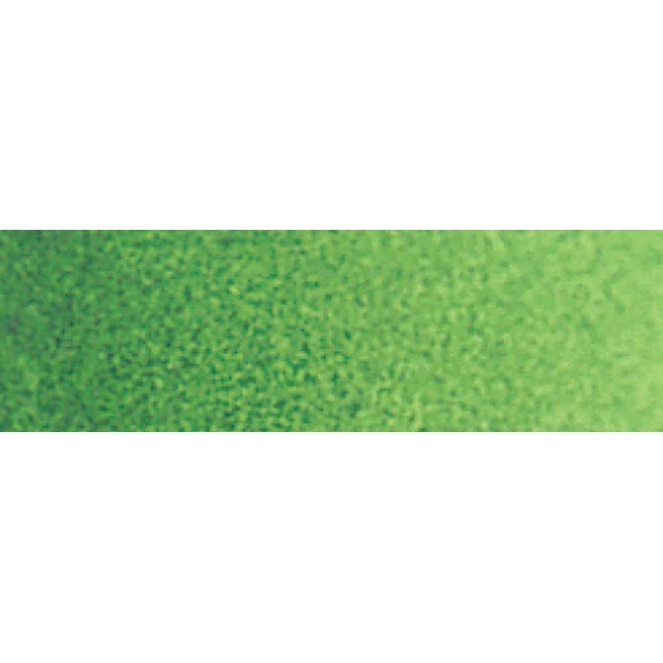 Winsor and Newton - Cotman Watercolour Half Pan - Hookers Green Light