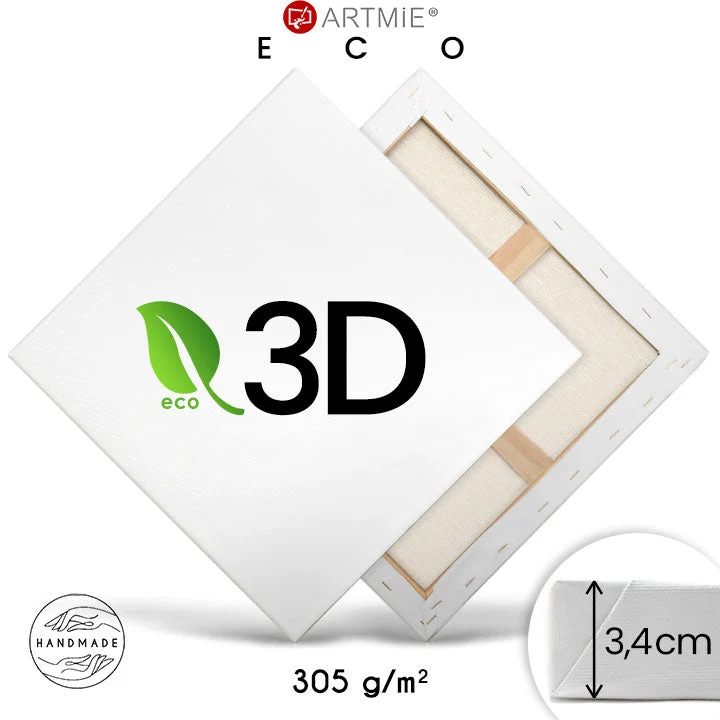3D EKO light Stretched Canvas