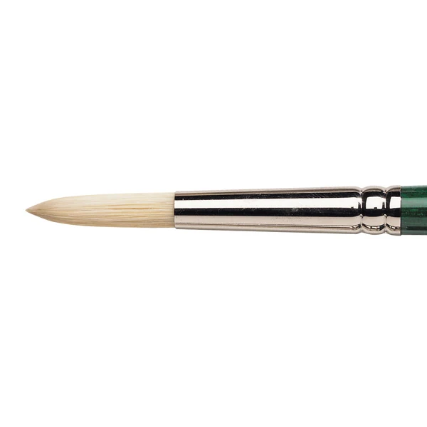 Winsor and Newton - Winton Round Long Handle Brush - No. 8