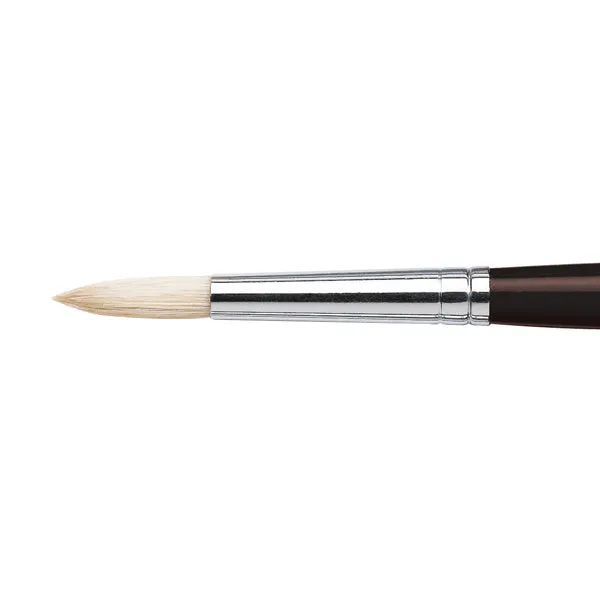 Winsor and Newton - Azanta Black Round Long Handle Brush - No. 6
