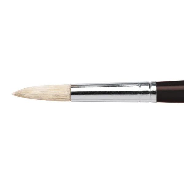 Winsor and Newton - Azanta Black Round Long Handle Brush - No. 2
