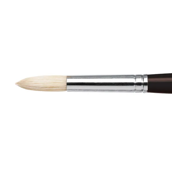 Winsor and Newton - Azanta Black Round Long Handle Brush - No. 12