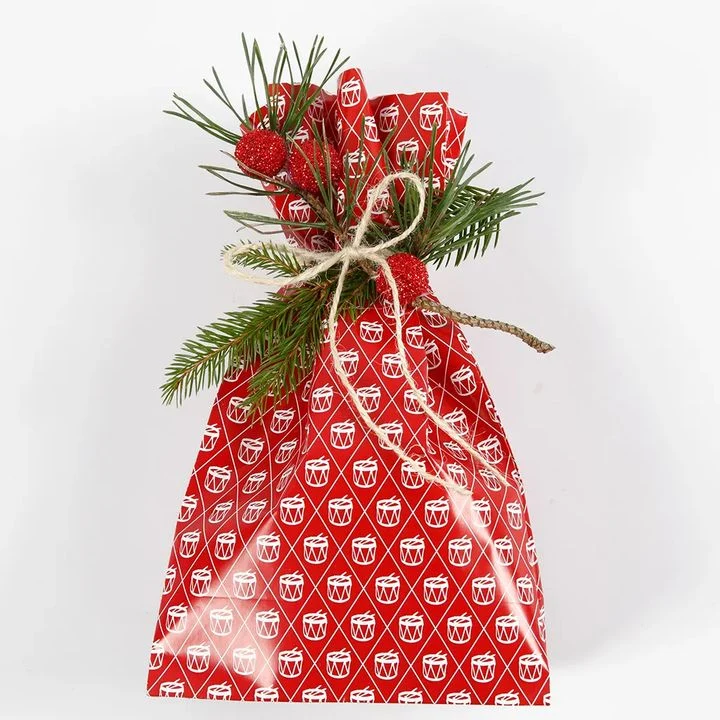 Christmas Paper Bags, Set of 8