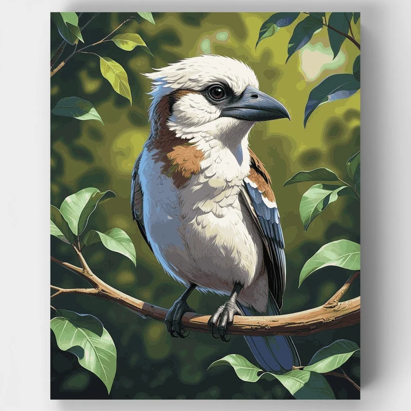 Kookaburra Bird - Paint by Numbers Kit