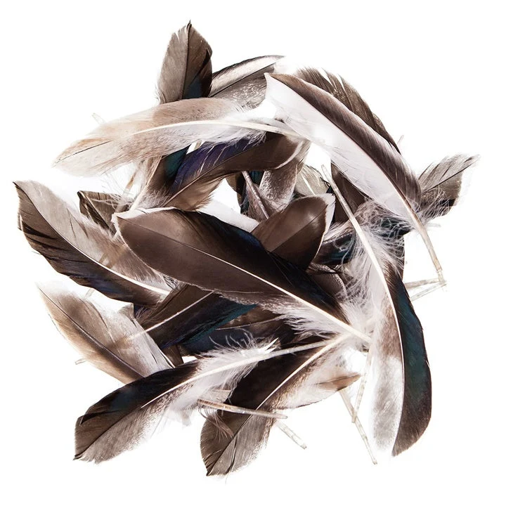 Duck Feathers, 10–15 cm, 10 g