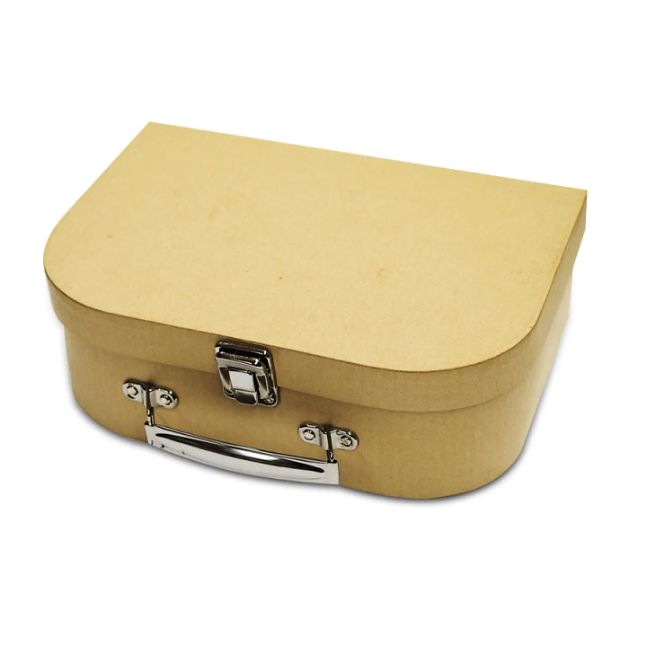 Cardboard Case 25.5 x 17.5 x 8.5 cm