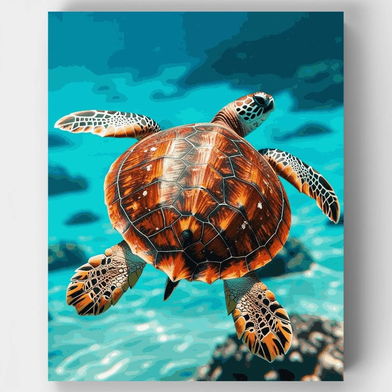 Sea Turtle - Paint by Numbers Kit