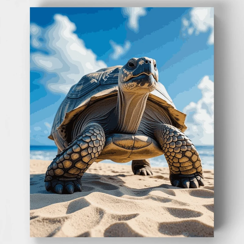 Majestic Tortoise on Sandy Beach - Paint by Numbers Kit