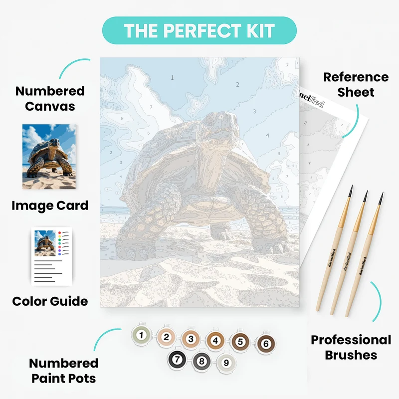 Majestic Tortoise on Sandy Beach - Paint by Numbers Kit
