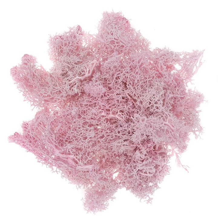 Natural Reindeer Moss 30 g