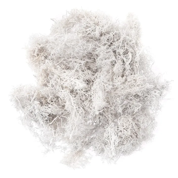 Natural Reindeer Moss 30 g
