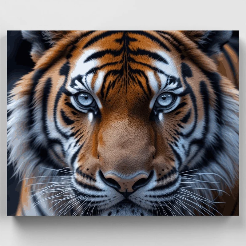 Intense Tiger Gaze Close-Up - Paint by Numbers Kit
