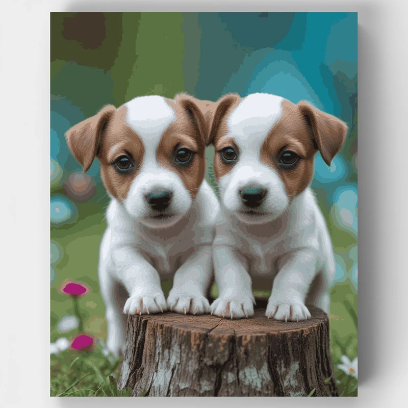Two Jack Russell Puppies - Paint by Numbers Kit