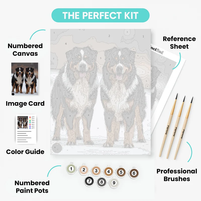 Two Bernese Mountain Dogs - Paint by Numbers Kit