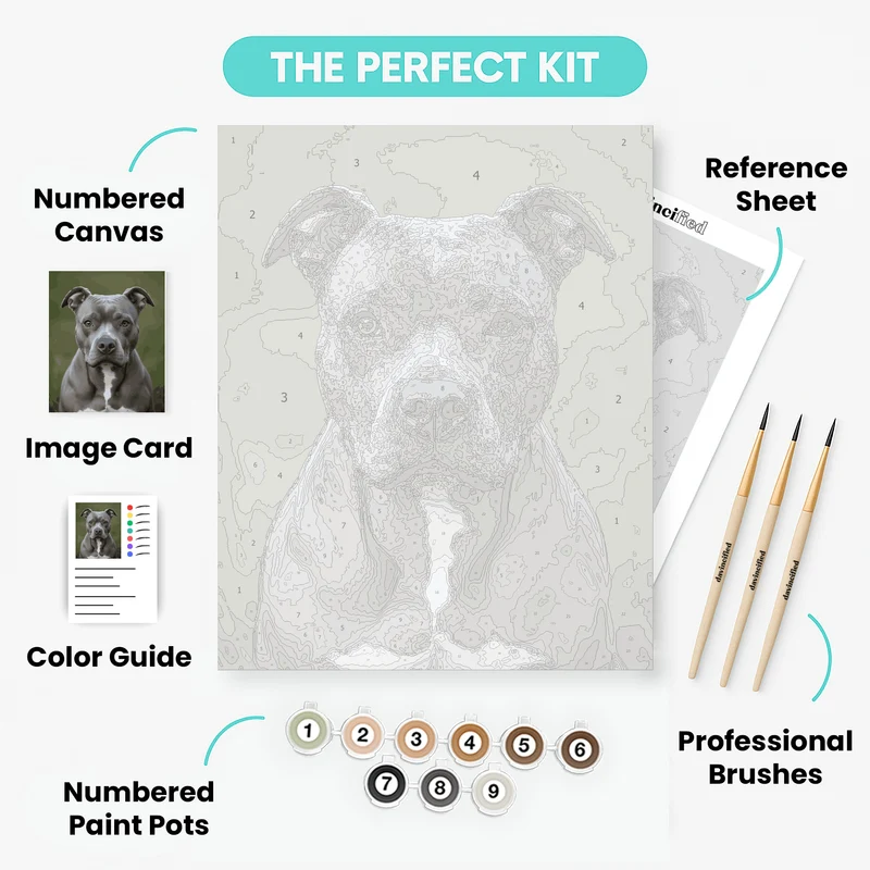 Gray Pitbull Portrait - Paint by Numbers Kit