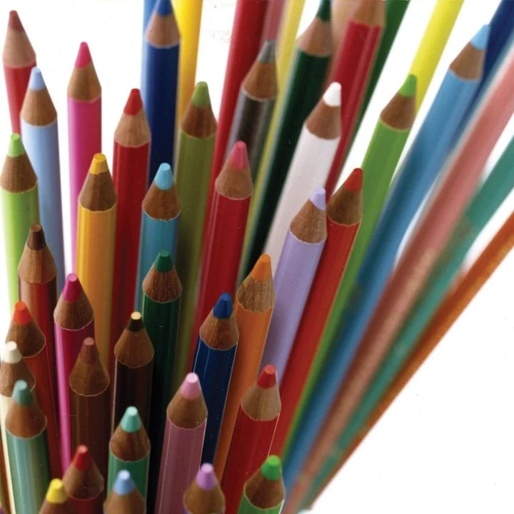 Holbein Artists Colored Pencils, Set of 12, Designer Set