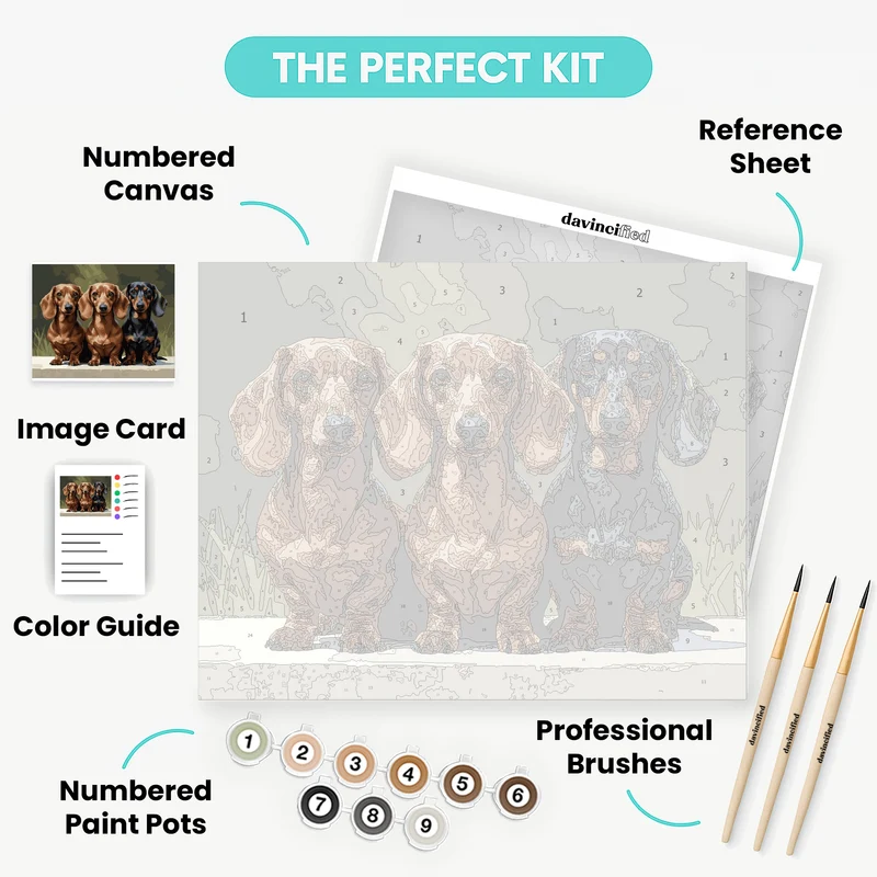 Three Dachshunds on Garden Path - Paint by Numbers Kit