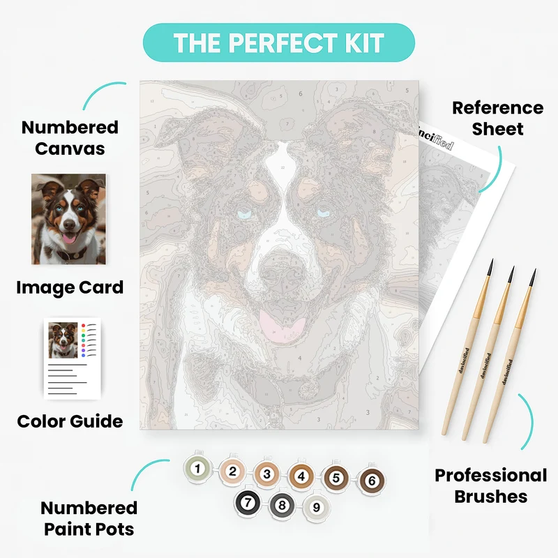 Australian Shepherd with Brilliant Blue Eyes Portrait - Paint by Numbers Kit