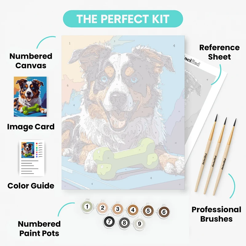 Happy Australian Shepherd with Toy - Paint by Numbers Kit