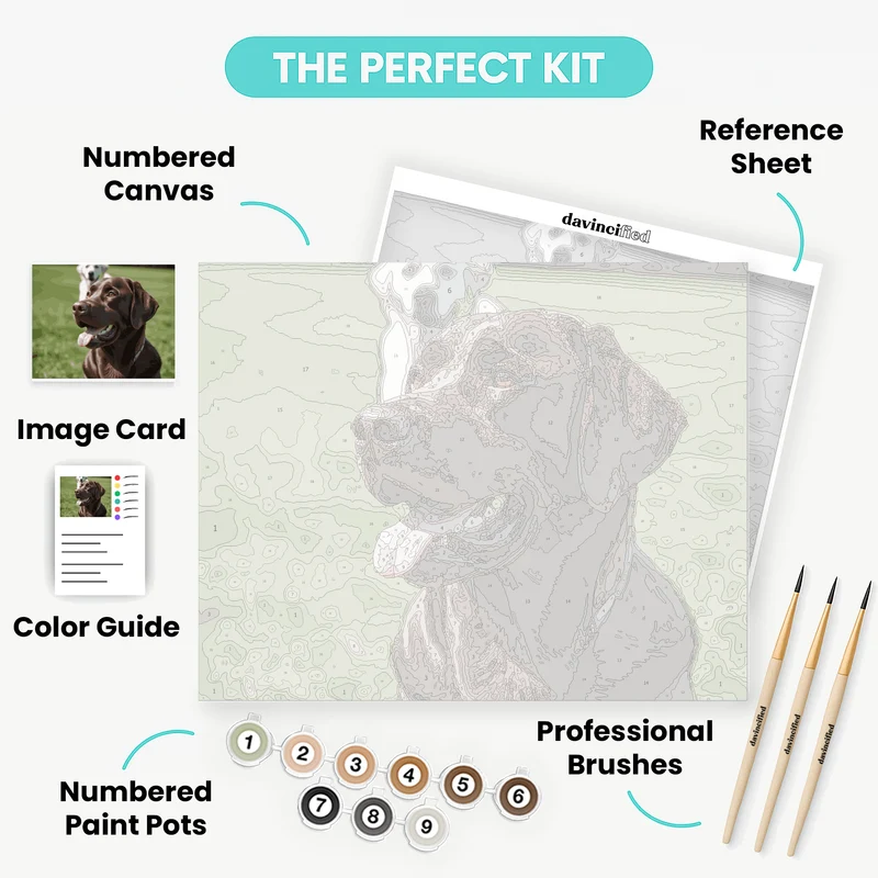 Chocolate Lab and Yellow Lab - Paint by Numbers Kit