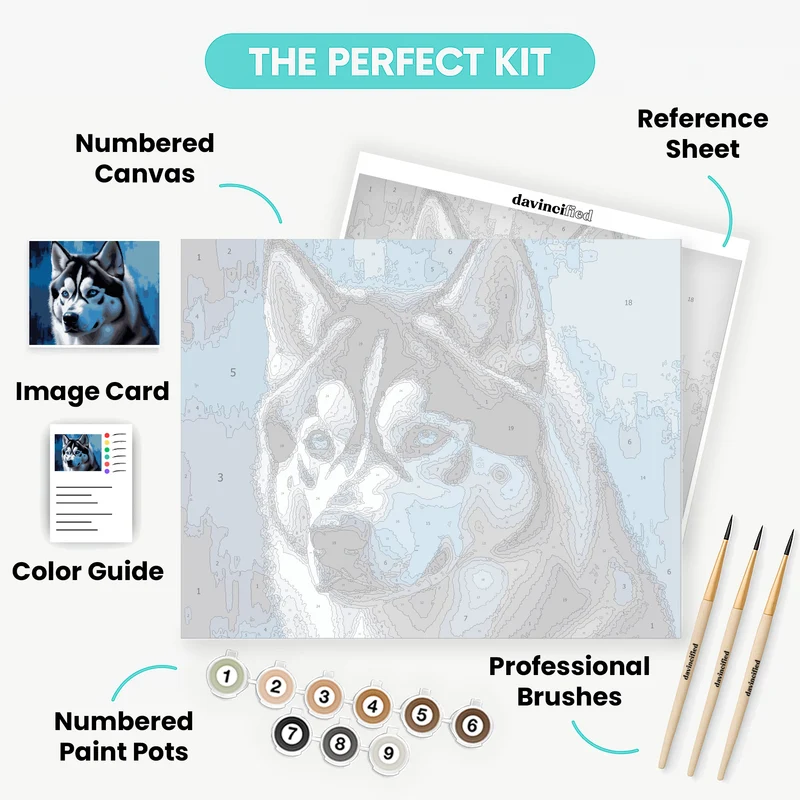 Majestic Blue-Eyed Husky - Paint by Numbers Kit