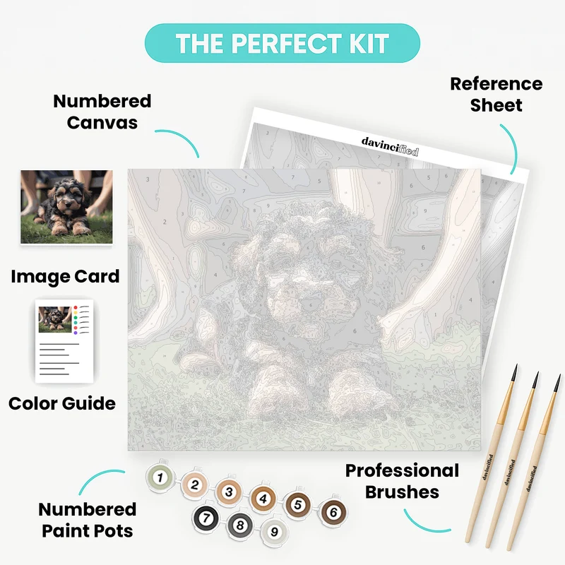 Adorable Cockapoo Puppy - Paint by Numbers Kit