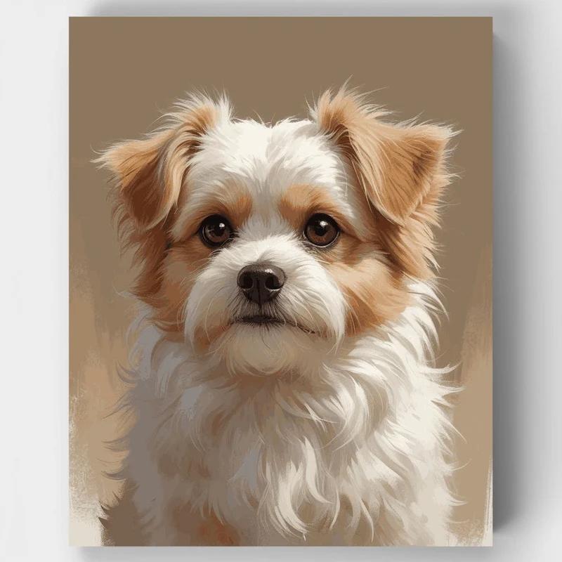 Fluffy Tan and White Dog Portrait - Paint by Numbers Kit