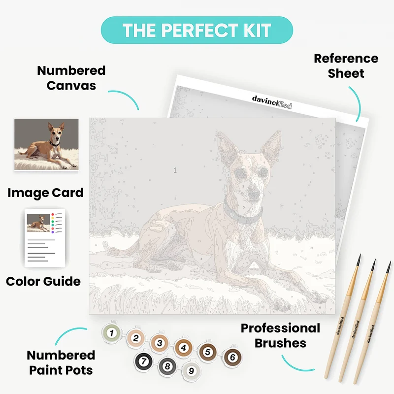 Elegant Greyhound on White Fur - Paint by Numbers Kit