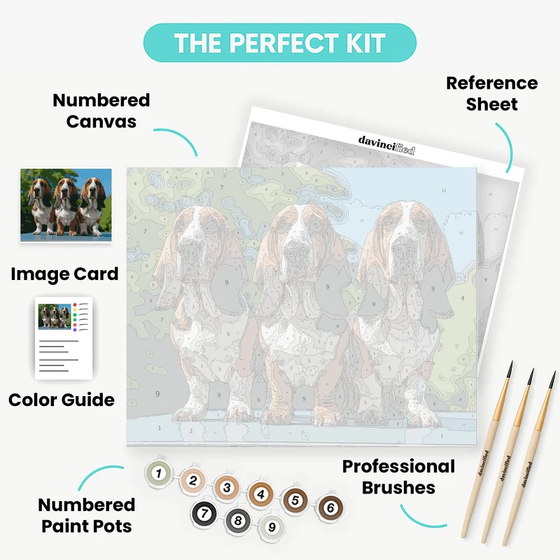 Three Basset Hounds - Paint by Numbers Kit