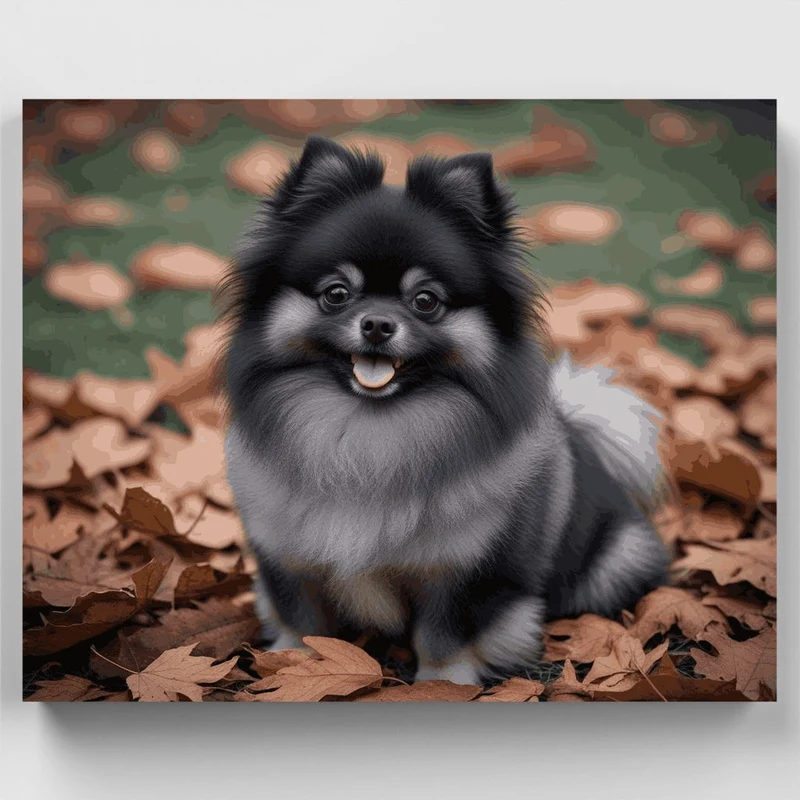Fluffy Black Pomeranian in Autumn Leaves - Paint by Numbers Kit