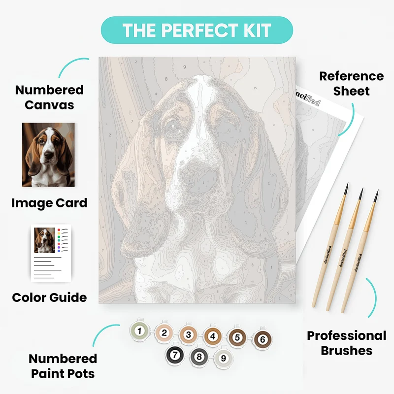 Adorable Basset Hound Puppy - Paint by Numbers Kit