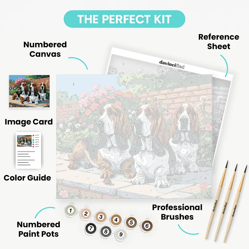 Three Basset Hounds in a Garden - Paint by Numbers Kit