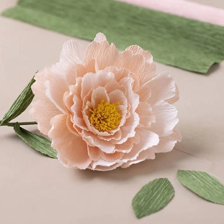 Mini Craft Set | Crepe Paper Peony