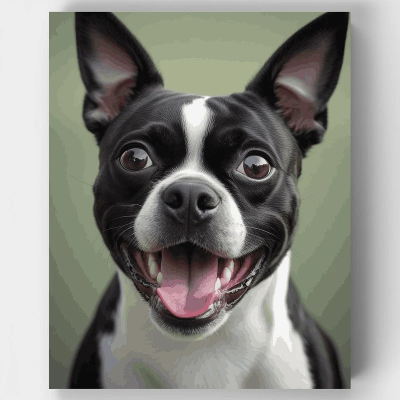 Happy Boston Terrier - Paint by Numbers Kit