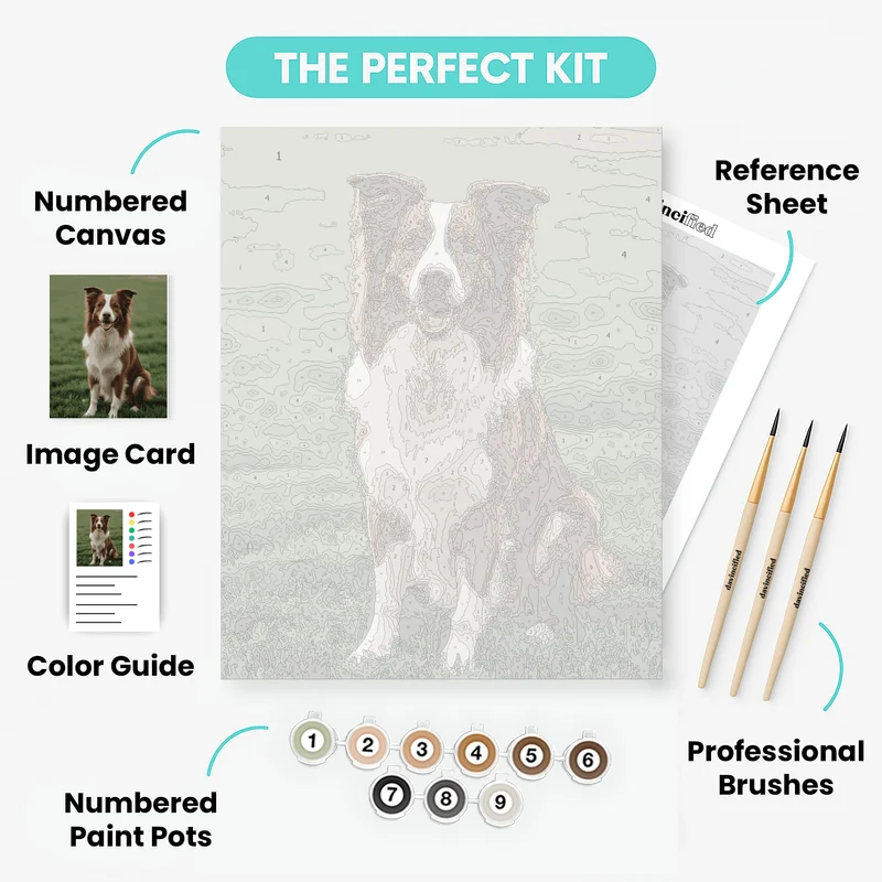 Brown and White Border Collie - Paint by Numbers Kit