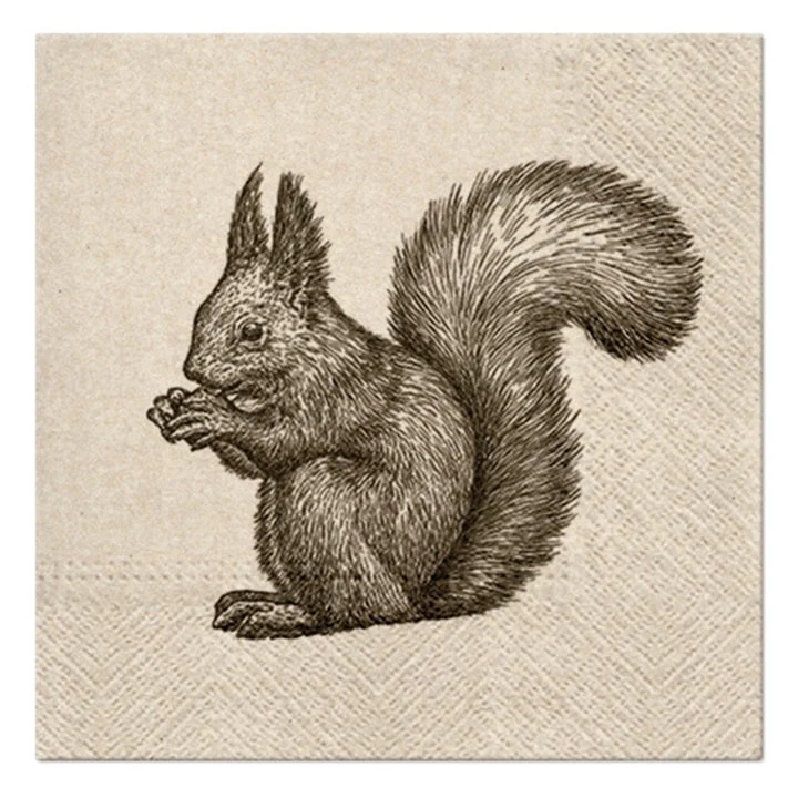 Squirrel Eco Decoupage Napkins - 1 pc