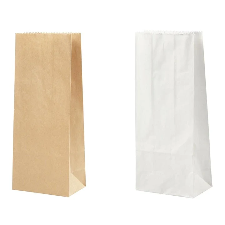 Paper Bag - 100 pcs