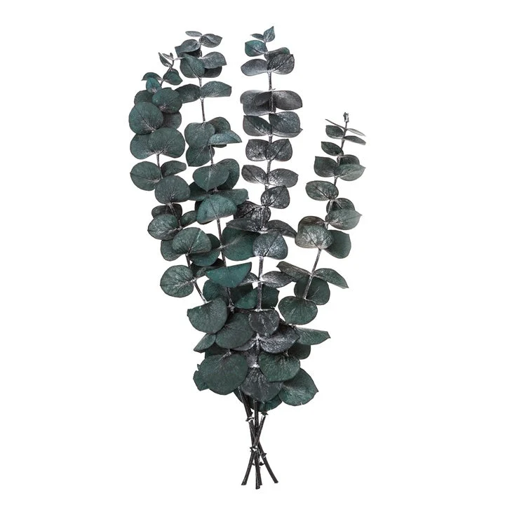 Stabilized Eucalyptus Baby Blue / 4 Stems, Green, 20 cm