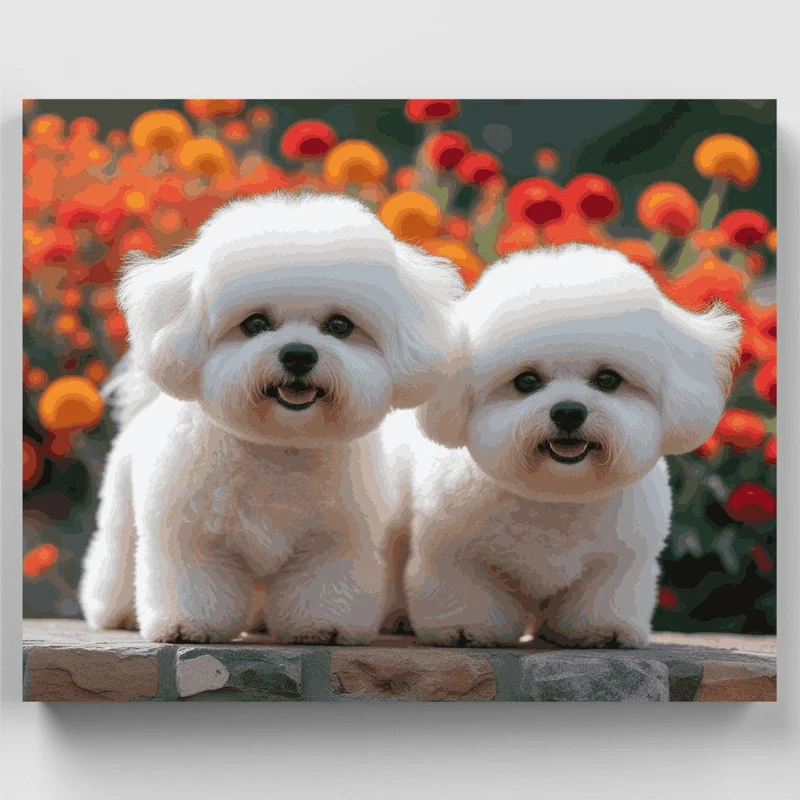 Two Adorable Bichon Frises in Flower Garden - Paint by Numbers Kit