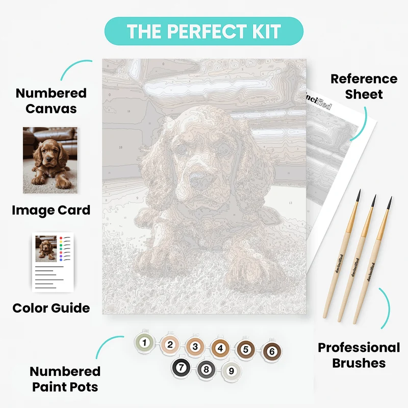 Adorable Cocker Spaniel Puppy - Paint by Numbers Kit