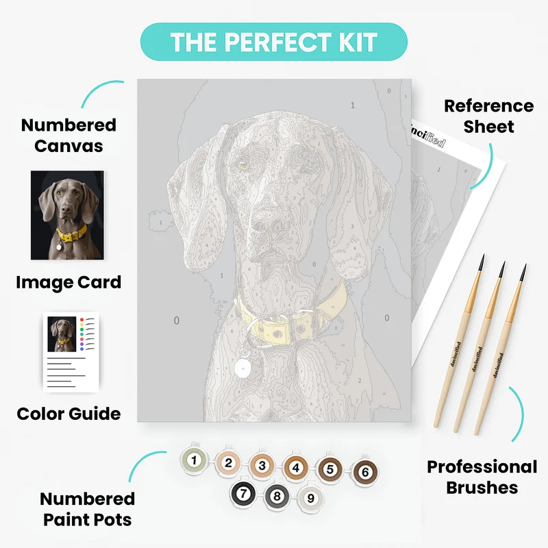 Elegant Weimaraner Portrait - Paint by Numbers Kit